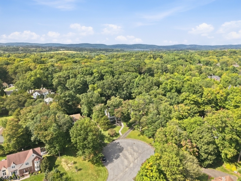 5 Buckingham Court Clinton NJ 08801