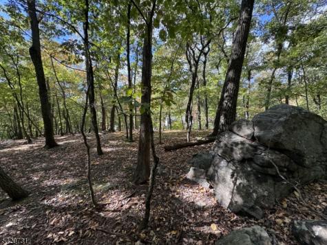 229 White Meadow Road Rockaway NJ 07866