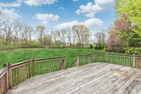 9 Symonds Lane Lebanon NJ 08826