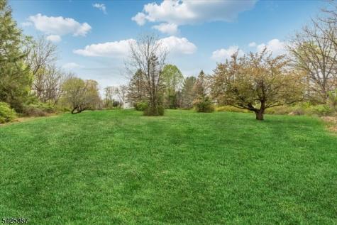 9 Symonds Lane Lebanon NJ 08826