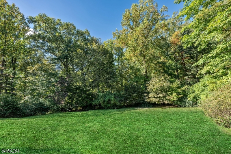 6 Dorothy Drive Morris NJ 07960