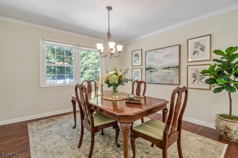 6 Dorothy Drive Morris NJ 07960