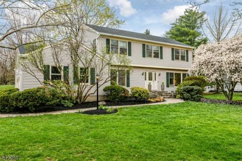 10 Hoagland Drive Montgomery NJ 08502