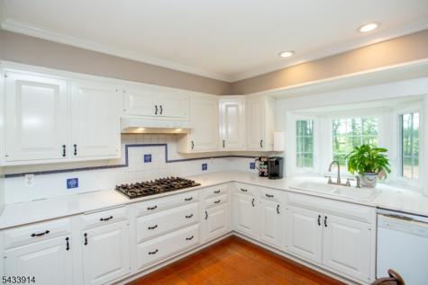 53 Rittenhouse Road Delaware NJ 08559