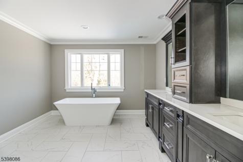 6 Harlow Pointe Cove Green Brook NJ 08812