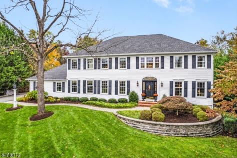 9 Trimingham Court Mendham NJ 07945