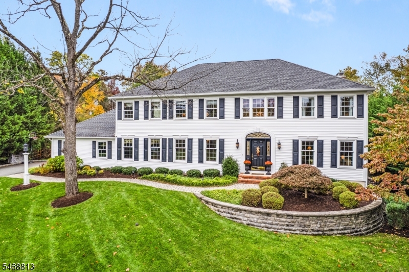 9 Trimingham Court Mendham NJ 07945