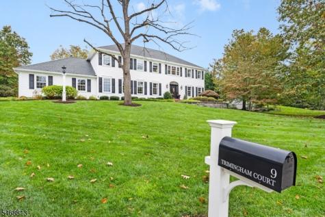 9 Trimingham Court Mendham NJ 07945