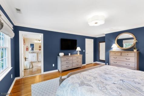 9 Trimingham Court Mendham NJ 07945