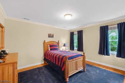 9 Trimingham Court Mendham NJ 07945