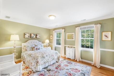 9 Trimingham Court Mendham NJ 07945