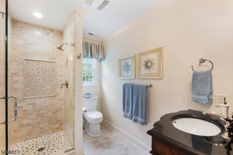 9 Trimingham Court Mendham NJ 07945