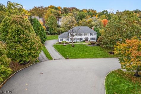 9 Trimingham Court Mendham NJ 07945