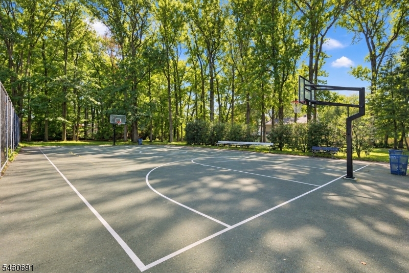 16 Remer Avenue Springfield NJ 07081