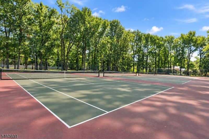 16 Remer Avenue Springfield NJ 07081