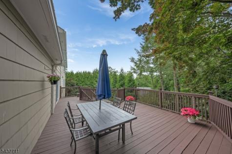 18 Kings Hill Court Summit NJ 07901