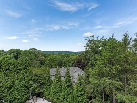 18 Kings Hill Court Summit NJ 07901