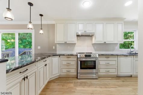 6 Oak Drive Randolph NJ 07869