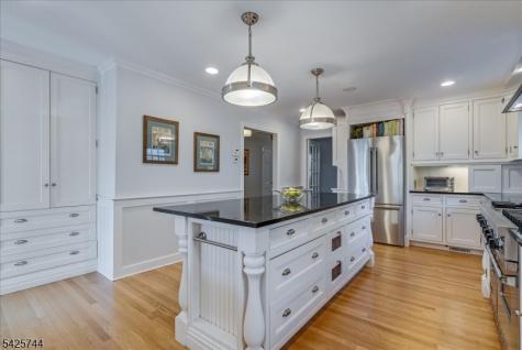 40 Spring Brook Road Morris NJ 07960