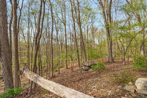 81 Turtleback Road Washington NJ 07853