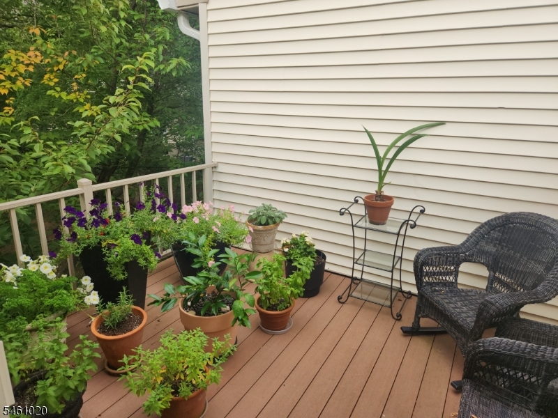56 Commonwealth Dr Ondo Bernards NJ 07920