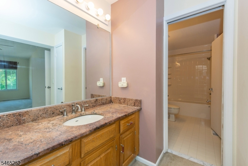 4 Danbury Court Bedminster NJ 07921