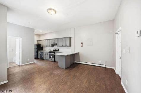 169 Mount Prospect Avenue Newark NJ 07104