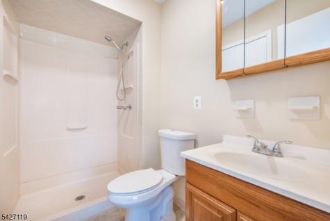 1006 Bryan Court Mine Hill NJ 07803