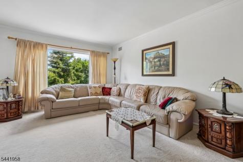 260 Prospect Street Westfield NJ 07090