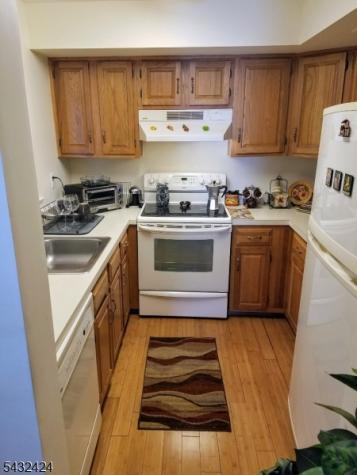 13 Ray Court Bedminster NJ 07921