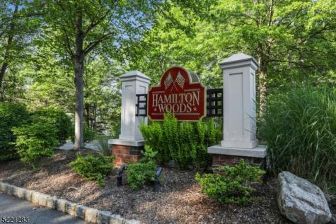 13 Knox Court Bernards NJ 07920