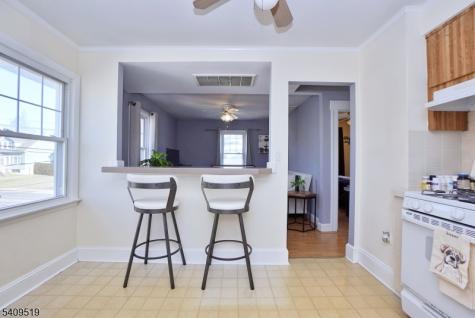 103 Orchard Street Summit NJ 07901