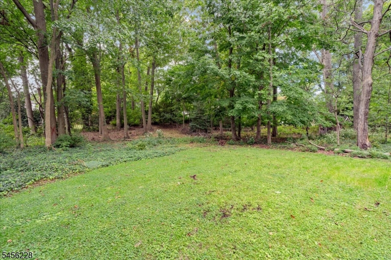 71 Willoughby Road Fanwood NJ 07023