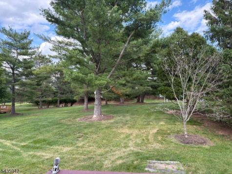 131 Locust Court Raritan NJ 08822