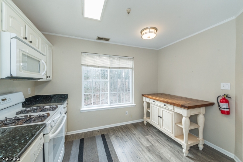 102 Village Drive Morris NJ 07960