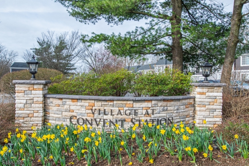 102 Village Drive Morris NJ 07960