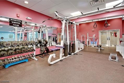 9 Pendleton Court Bedminster NJ 07921