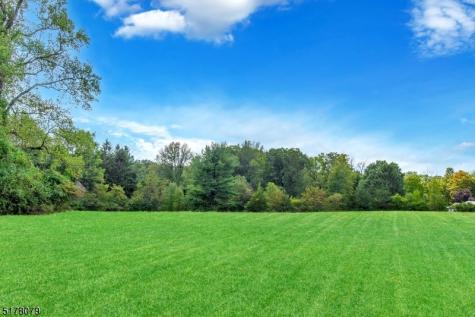 65 Youngs Road Harding NJ 07920