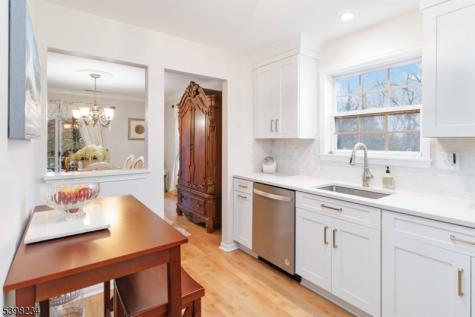 262 Vista Drive Hanover NJ 07927