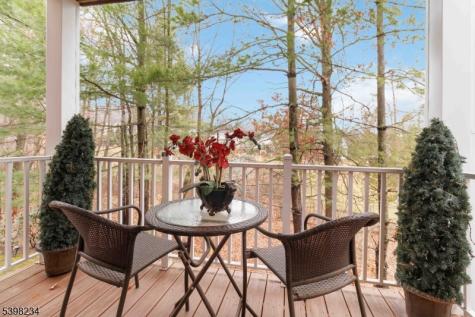 262 Vista Drive Hanover NJ 07927