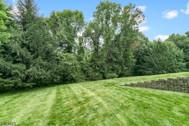 5 Savannah Court Bernards NJ 07920
