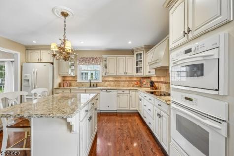 4 Copperfield Way Morris NJ 07960
