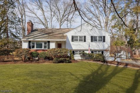 49 Overlook Road Morristown NJ 07960