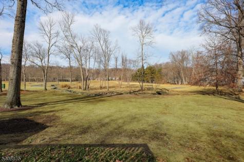49 Overlook Road Morristown NJ 07960