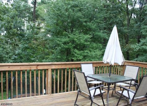 53 Hendrickson Drive Montgomery NJ 08502