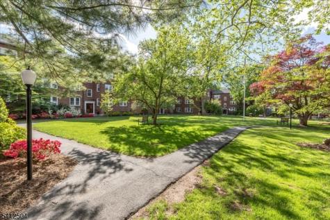 217 Prospect Avenue Cranford NJ 07016