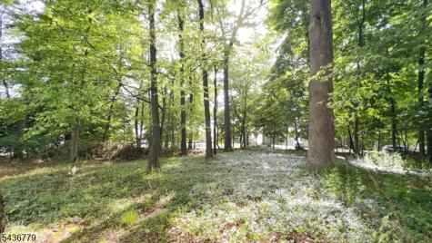 22 Richard Drive Mount Arlington NJ 07856