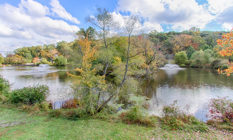 16 Mendham Avenue Morris NJ 07960