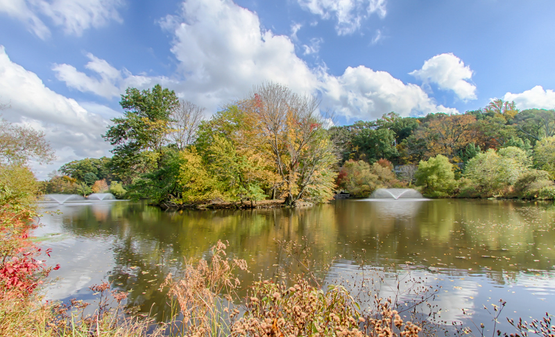 16 Mendham Avenue Morris NJ 07960