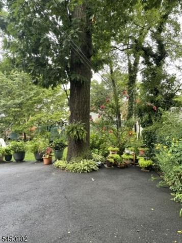74 Forest Street Montclair NJ 07042